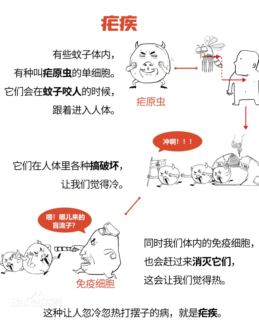 疟疾致病机制示意图
